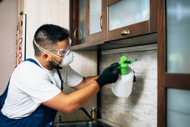 Best Pest Prevention Services  in The Pinehills, MA