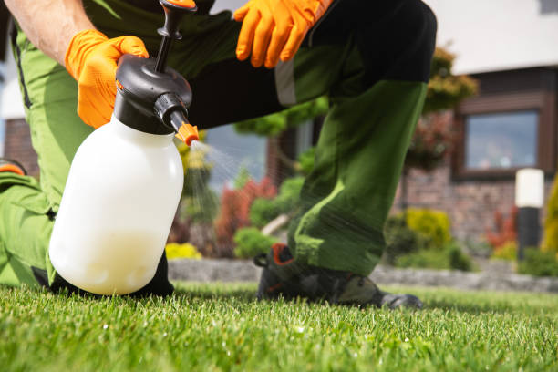 Best Affordable Pest Control Services  in The Pinehills, MA