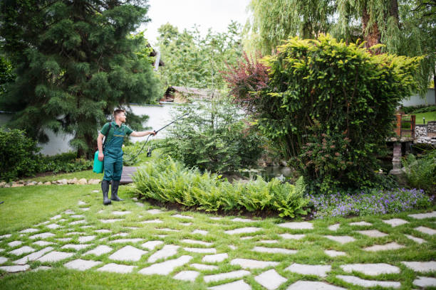 Best Wasp Removal Services  in The Pinehills, MA