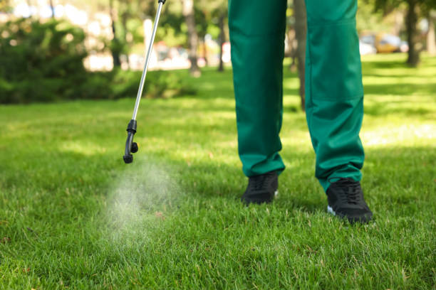 Best Best Pest Control Near Me  in The Pinehills, MA