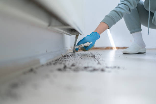 Best Local Pest Control Services  in The Pinehills, MA